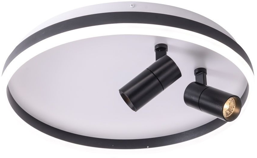 Потолочный светильник Raizy ZRS.1888.01 Zortes