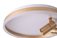 Потолочный светильник Raizy ZRS.1888.02 Zortes