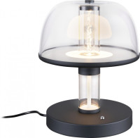 Интерьерная настольная лампа Flaska 4312-1T Favourite