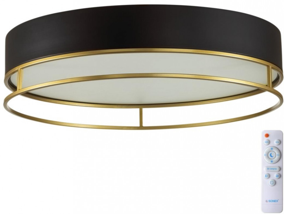 Потолочный светильник Lofty 7723/100L Sonex