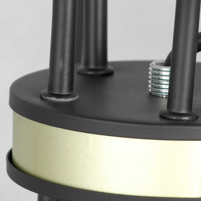 Подвесная люстра Roosevelt GRLSP-8198 Lussole LGO