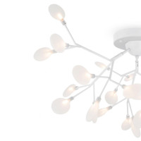 Потолочная люстра Freya Florencia FR5049CL-27W2 Потолочная люстра Freya Florencia FR5049CL-27W2