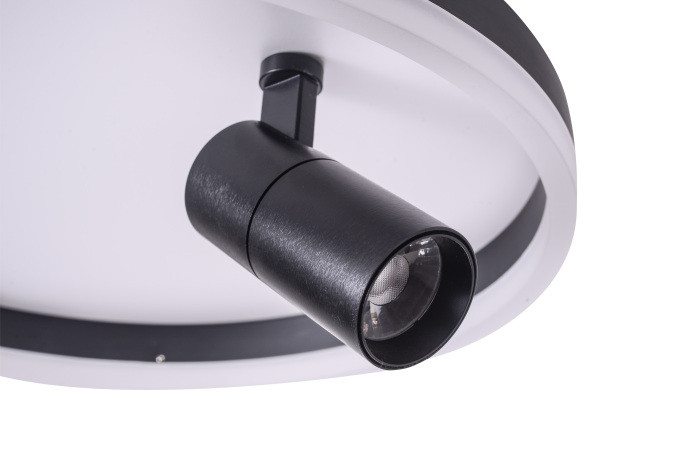 Потолочный светильник Raizy ZRS.1888.03 Zortes