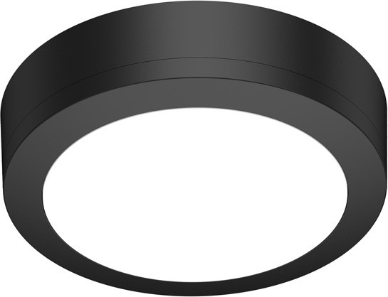 Потолочный светильник уличный Barcelona DL20451WNC12B R Donolux