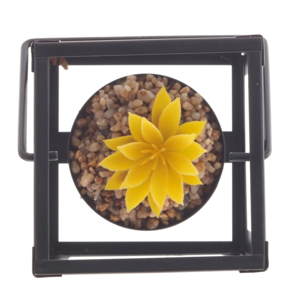 Цветочная композиция "Суккулент", L8,5 W8,5 H10,5 см