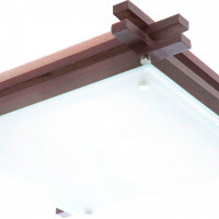 Настенно-потолочный светильник Edison 48324 Globo