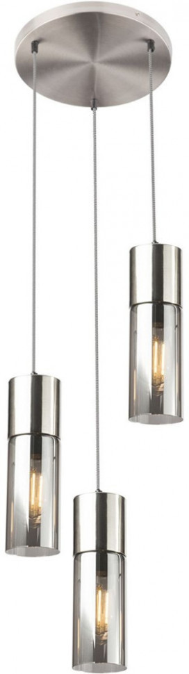 Подвесной светильник Ilene TL1628H-03SN TopLight