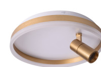 Потолочный светильник Raizy ZRS.1888.04 Zortes