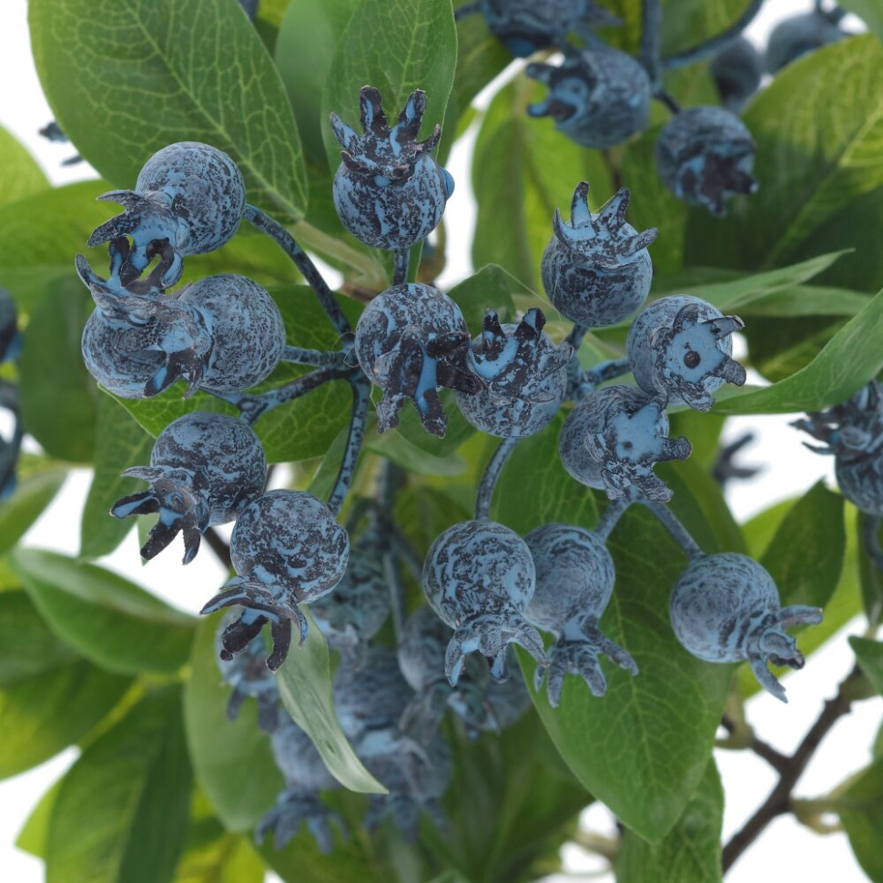 Цветочная композиция "Голубика", L21 W19 H34 см