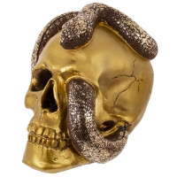 Копилка "Череп со змеей", L23 W16 H18 см, 2в.