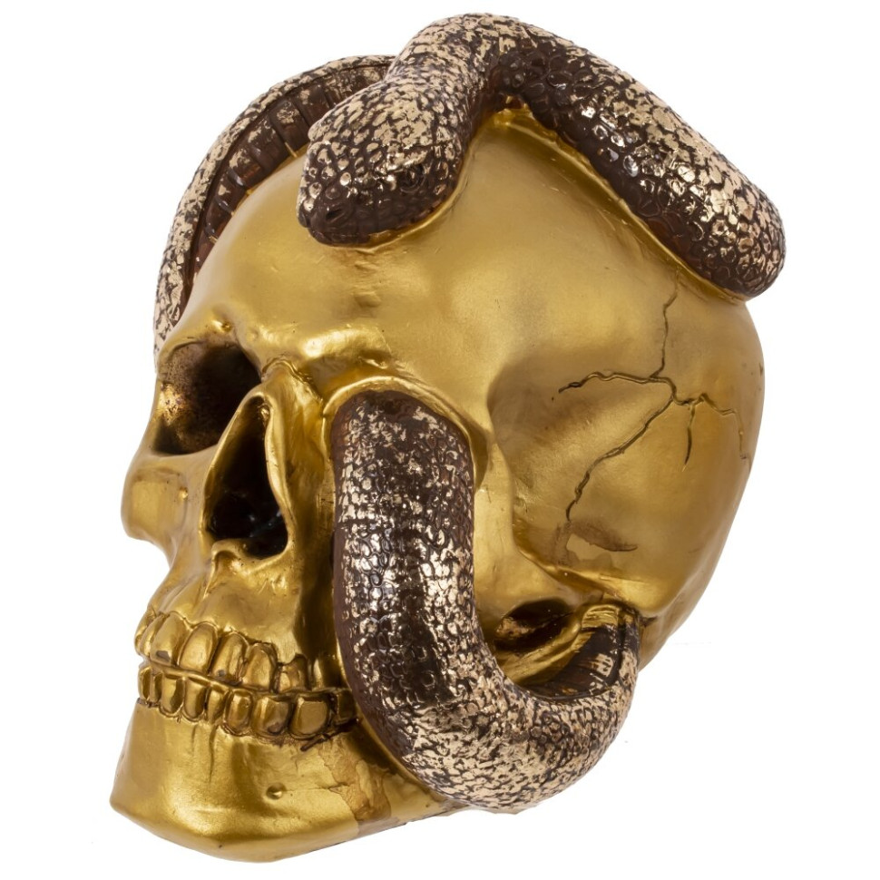 Копилка "Череп со змеей", L23 W16 H18 см, 2в.