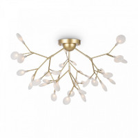 Потолочная люстра Freya Florencia FR5049CL-36G