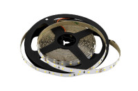 Светодиодная лента SWG2P84-24-8.6-NW SWG