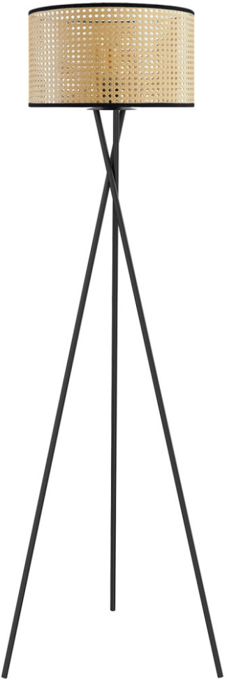 Торшер  LSP-0633 Lussole LGO