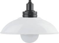 Ночник  NLED-487-1W-SW-W ЭРА