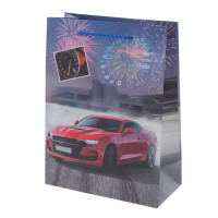 Пакет подарочный S (бумага 210г/м2, блок микс 12шт), L18 W9 H24 см, 4в.