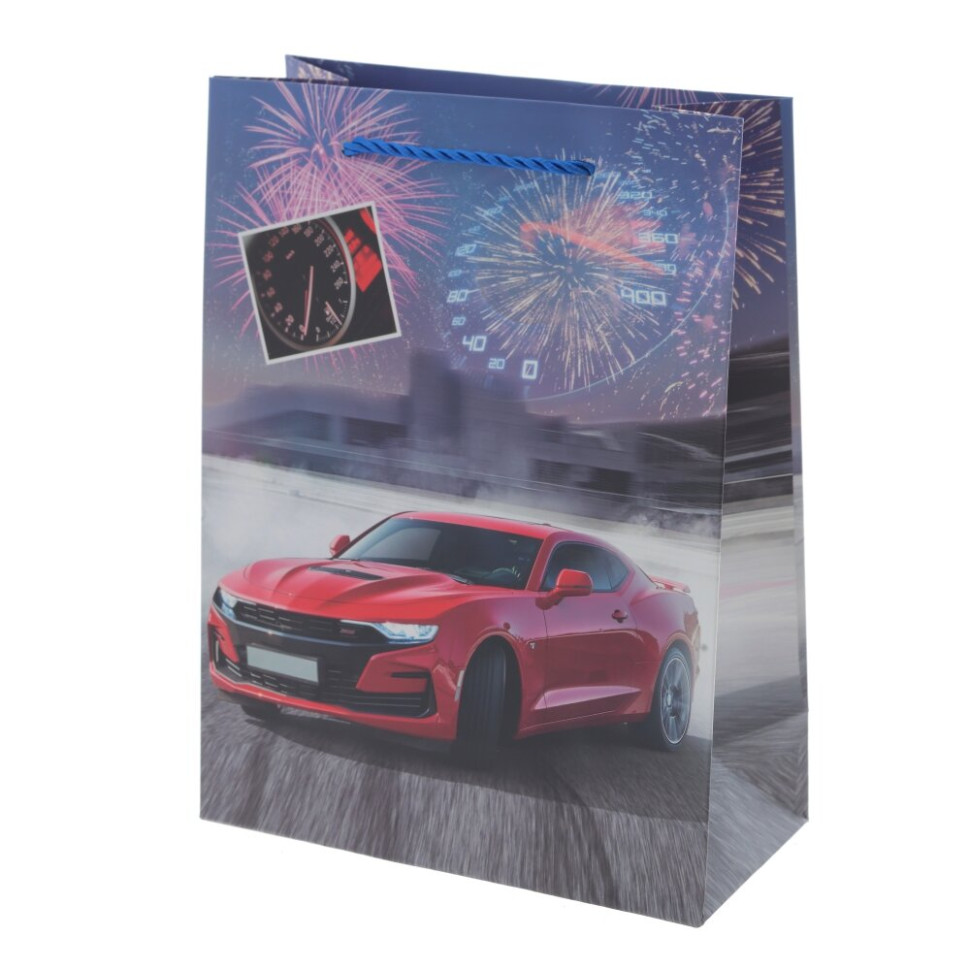 Пакет подарочный S (бумага 210г/м2, блок микс 12шт), L18 W9 H24 см, 4в.