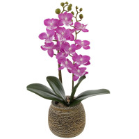 Цветочная композиция "Орхидея", L11 W11,5 H36,5 см