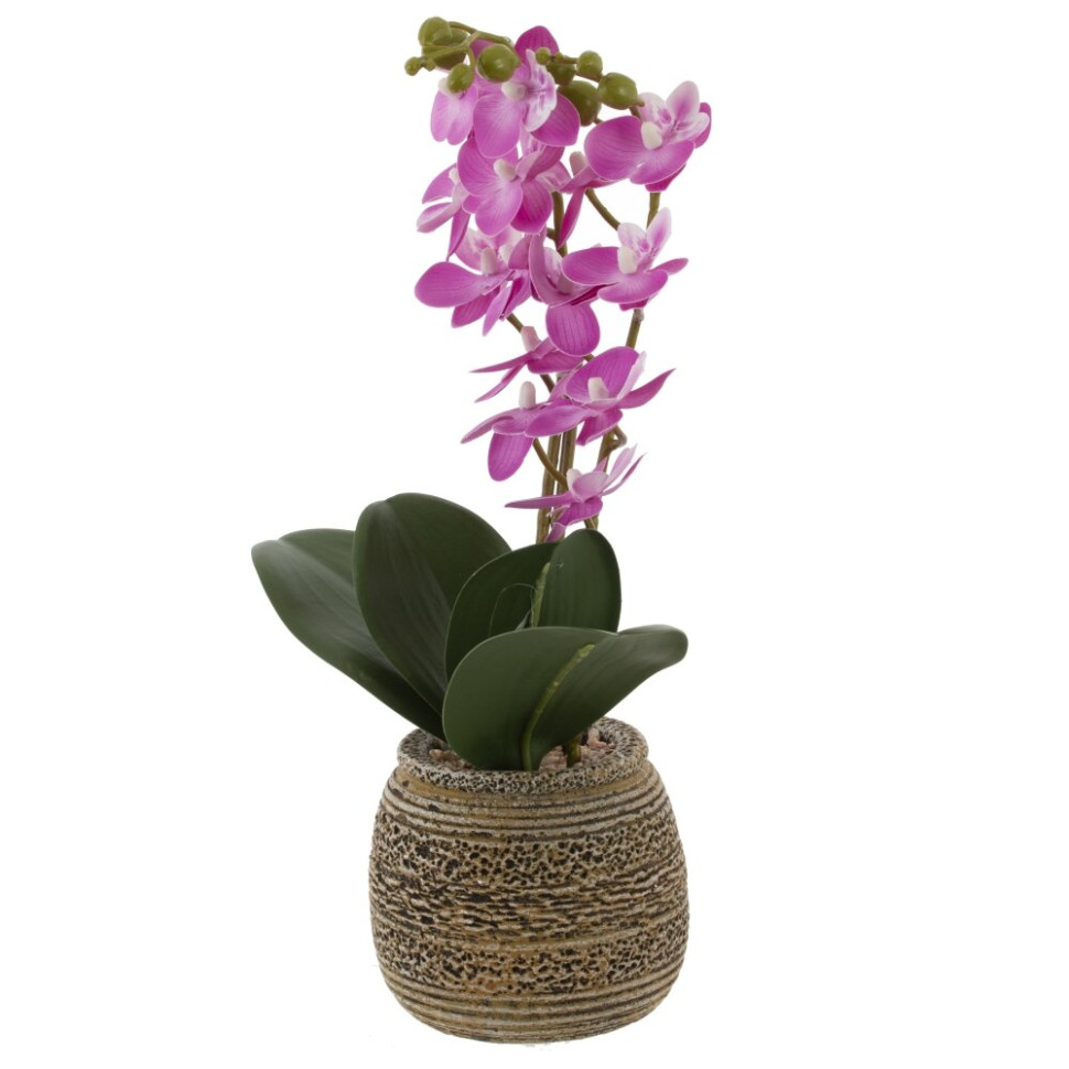 Цветочная композиция "Орхидея", L11 W11,5 H36,5 см