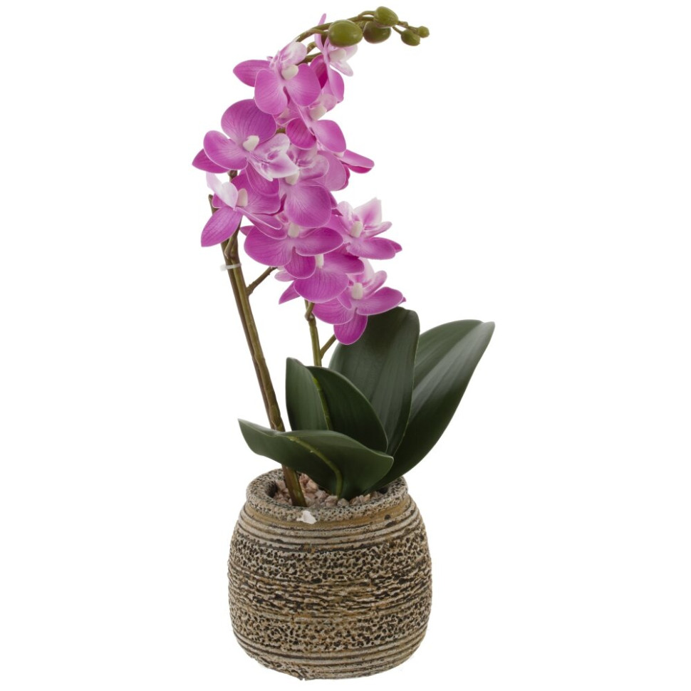 Цветочная композиция "Орхидея", L11 W11,5 H36,5 см