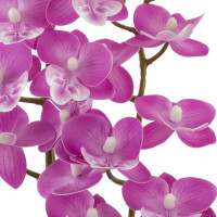 Цветочная композиция "Орхидея", L11 W11,5 H36,5 см