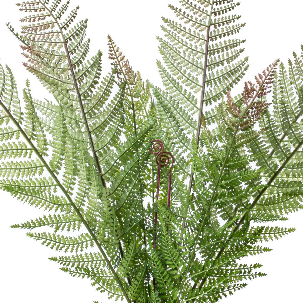 Ветка искусственная "Папоротник", L21 W21 H94 см