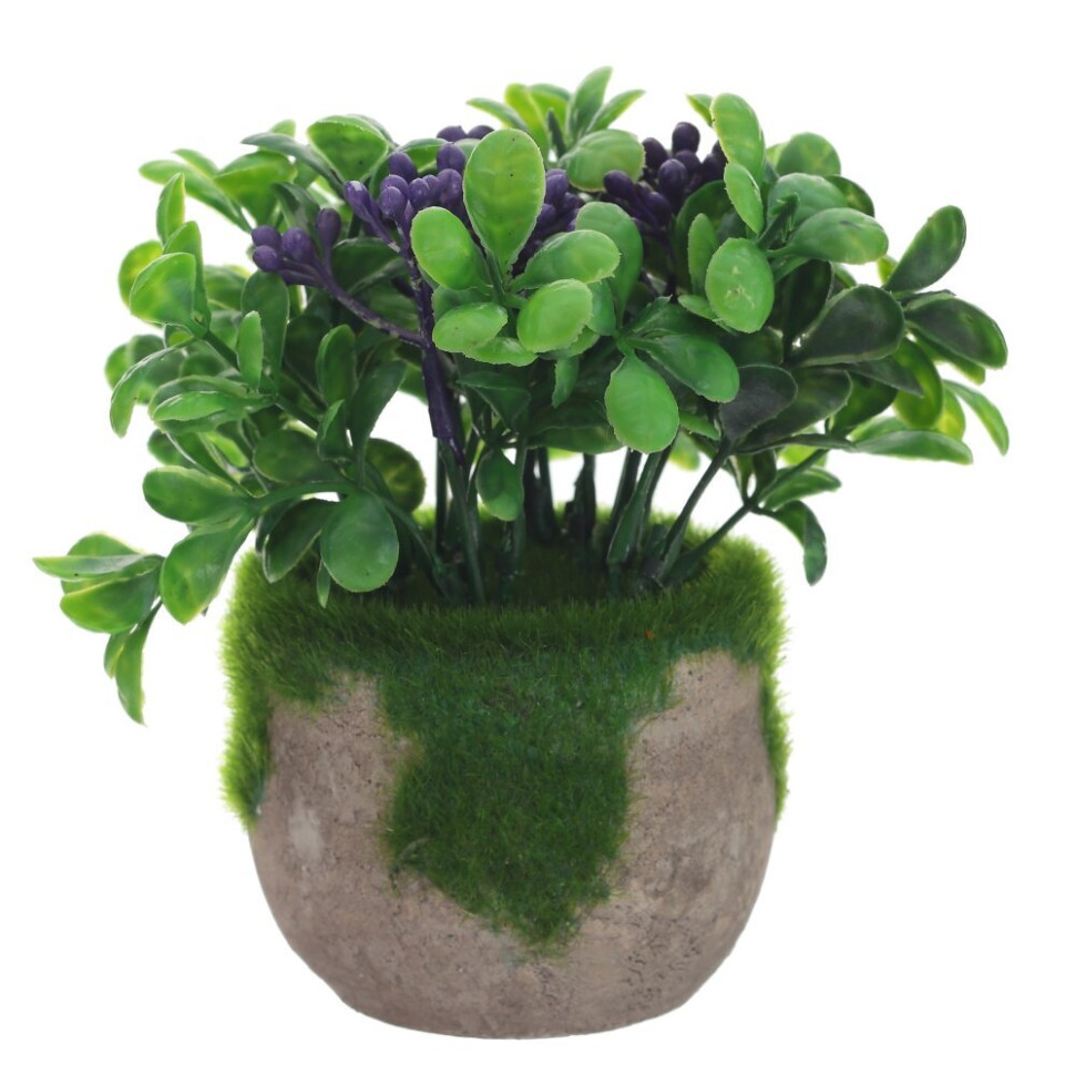 Цветочная композиция, L13 W13 H12 см