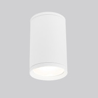 Потолочный светильник уличный Light 35128/H белый Elektrostandard