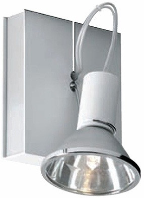 Настенный светильник Book D85G0301 Fabbian