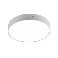 Потолочный светильник Flashled 2065-30C Favourite