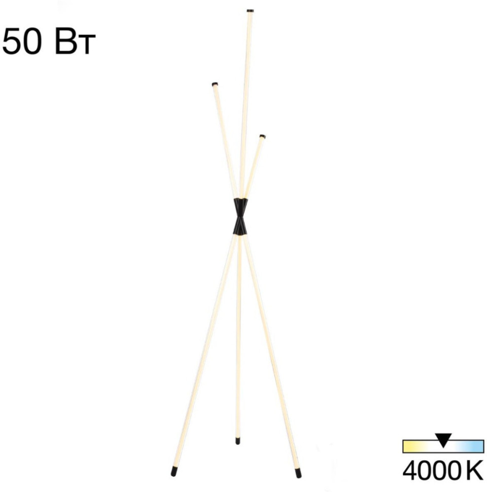 Торшер Lucia CL217961 Citilux