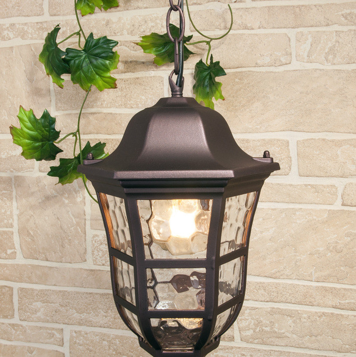 Уличный светильник подвесной Dorado GL 1013H Elektrostandard