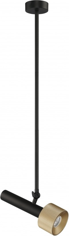 Подвесной светильник Delta 2361-1 BK+BR iLedex