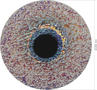 Подвесной светильник Alumno SL6142.423.01 ST Luce