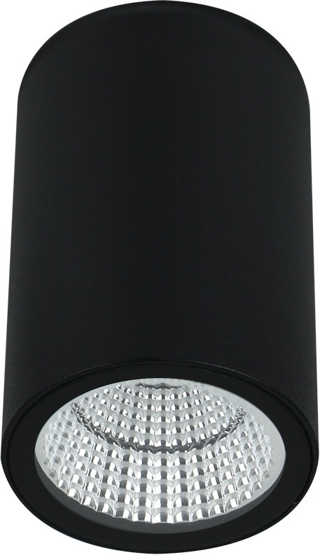 Потолочный светильник уличный Torcular A1807PF-1BK Arte Lamp