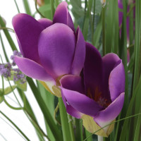 Цветочная композиция, L26 W24 H69 см