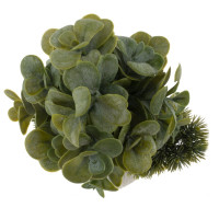 Цветочная композиция "Бонсай", L17 W14 H31 см