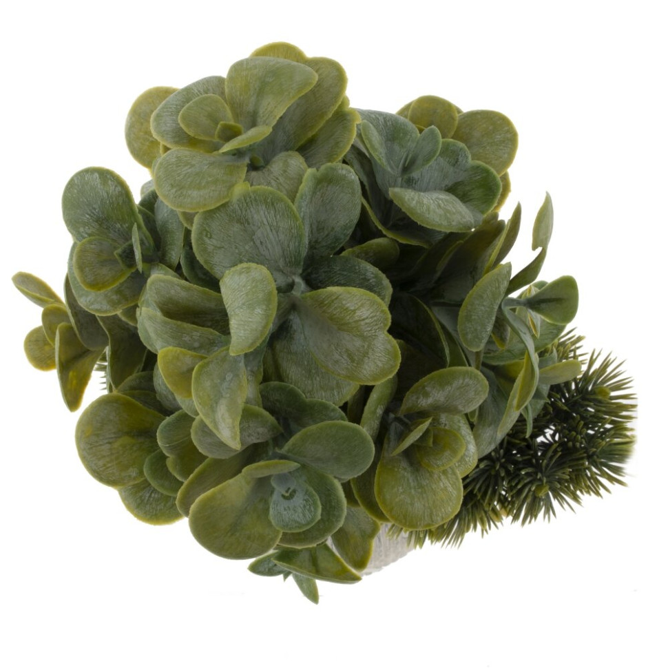 Цветочная композиция "Бонсай", L17 W14 H31 см