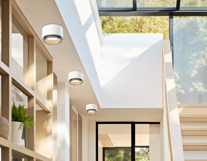 Точечный светильник Techno Spot TN71271 Ambrella