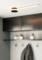 Настенно-потолочный светильник Sarginto 99608 Eglo Настенно-потолочный светильник Sarginto 99608 Eglo