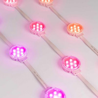 Светодиодный модуль Arlight SPI-F7-D50 24V RGB-RAM-Auto 036826 Светодиодный модуль Arlight SPI-F7-D50 24V RGB-RAM-Auto 036826