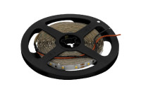 Светодиодная лента SWG2P60-24-4.8-WW SWG