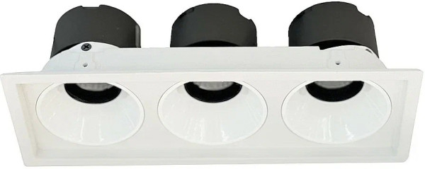 Точечный светильник Dorsum WTD.O21.000.30.30 Wertmark