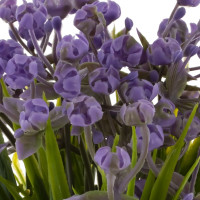 Цветочная композиция, L12 W11 H17 см