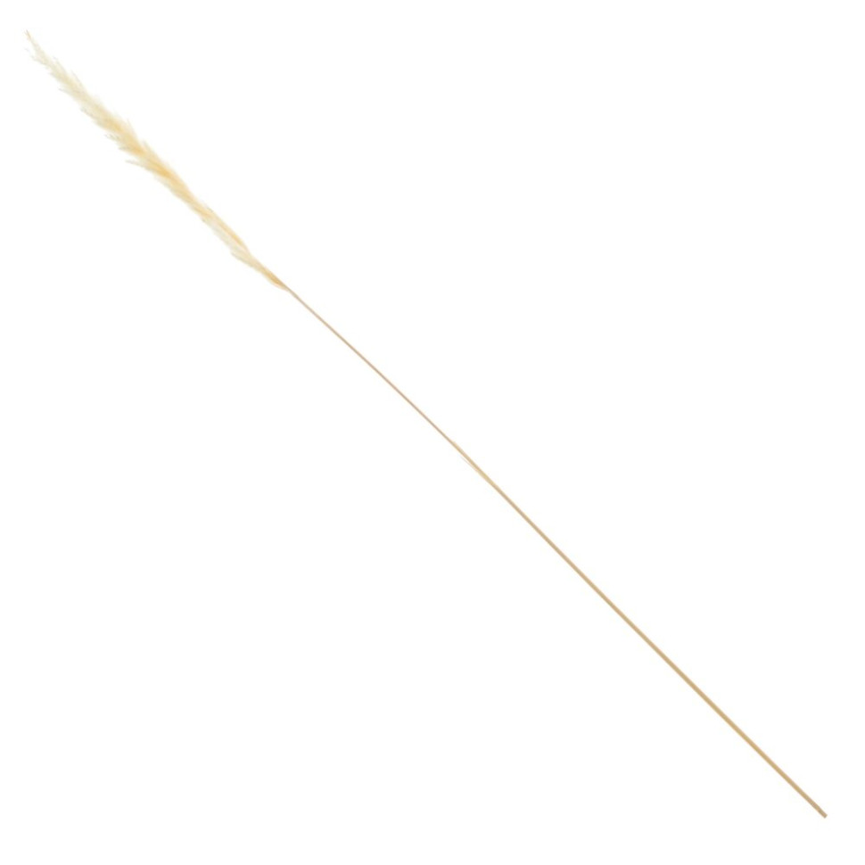 Ветка "Сухоцвет", набор из 15 шт, L7 W7 H67 см