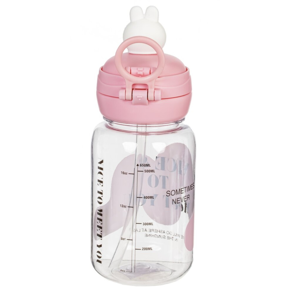 Бутылка, 650 мл, L8 W8,5 H22 см