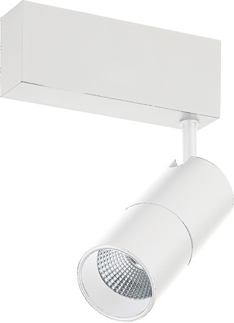 Трековый светильник Heck DL18789NW15WM Donolux