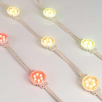 Светодиодный модуль Arlight SPI-F6-D40 24V RGB-RAM-Auto 036828 Светодиодный модуль Arlight SPI-F6-D40 24V RGB-RAM-Auto 036828