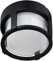 Потолочный светильник уличный Ulysses A6206PF-1BK Arte Lamp
