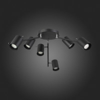 Потолочная люстра Fanale SL597.402.06 ST Luce